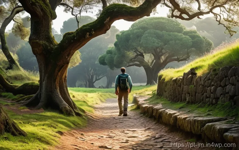 역사적 도보 루트 트레킹의 문화 유산 - **Prompt:** A lone hiker, approximately 30-40 years old and dressed in practical, earth-toned trekki...