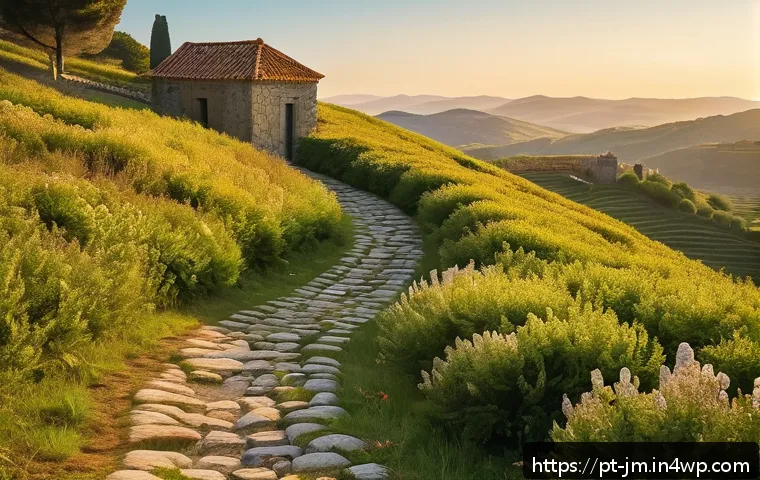 역사적 도보 루트 트레킹의 언어와 표현 - A scenic historical hiking trail in northern Portugal during golden hour, featuring ancient stone ma...
